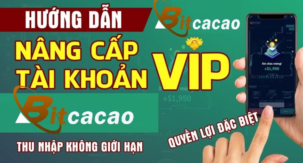Thành viên vip Bitcacao - Hướng dẫn mua quyền đại lý Bitcacao